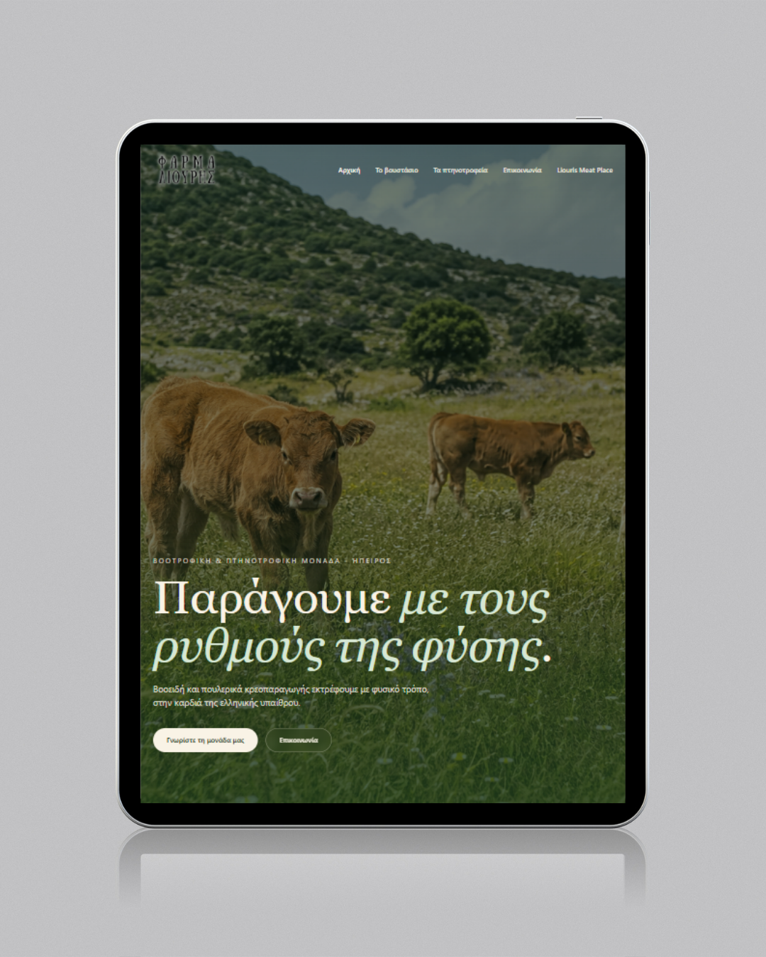 Λιούρης Βασίλειος και Θεοχάρης Ο.Ε.